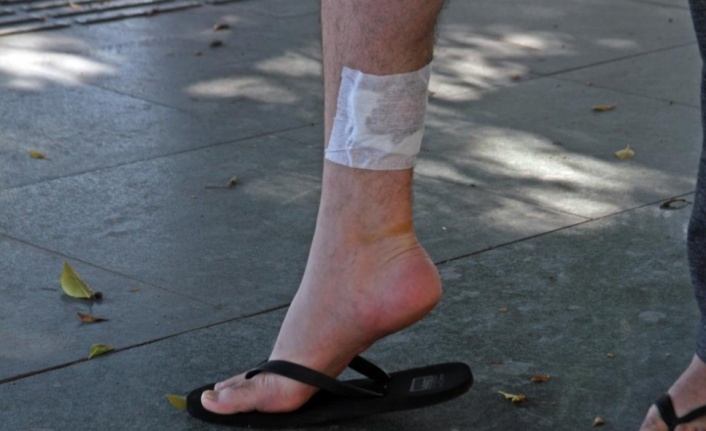 Kızına balon almak isterken köpeğin saldırısına uğrayan baba hastanelik oldu