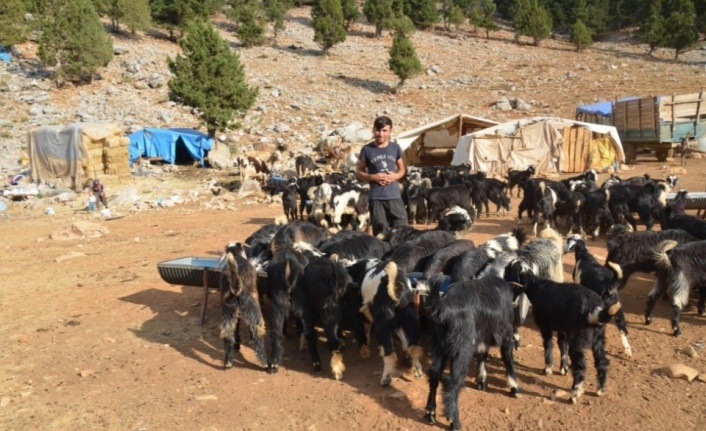 Orman yangınından etkilenen Yörükler otlakiye istiyor