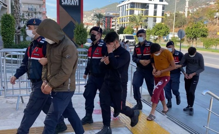 Alanya'da avokado hırsızlığında 3 tutuklama
