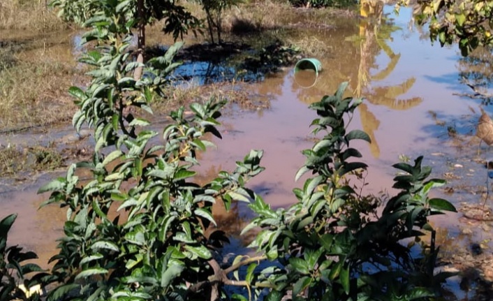 Alanya’da çiftçinin sulama kanalı isyanı 