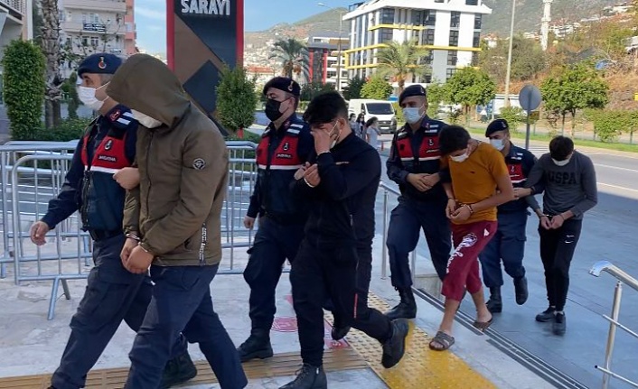 Alanya’da avokado hırsızları kıskıvrak yakalandı