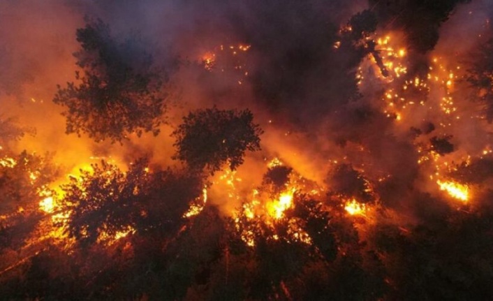 Alanya’da otellere yakın alanda korkutan yangın