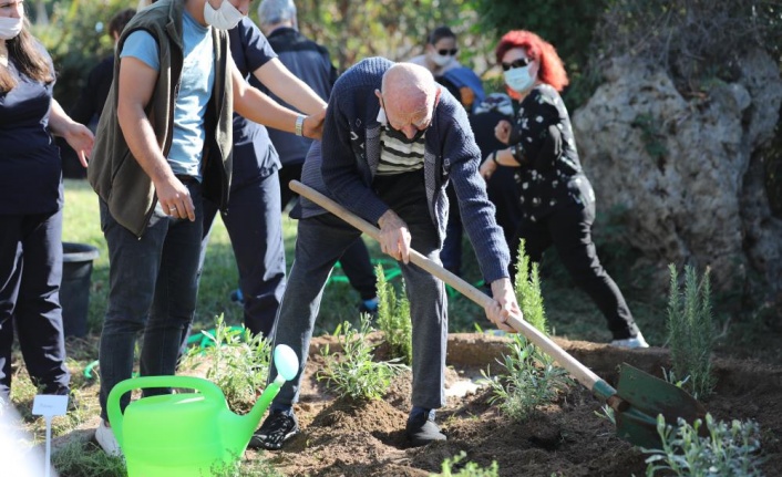 Alzehimer hastaları tıbbi aromatik bitkiler dikti