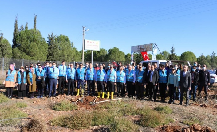 Antalya Cumhuriyet Başsavcılığı, 28 bin metrekare alanda fidan dikti
