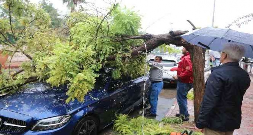 Belediyeye görüşmeye gitti, geri döndüğünde lüks aracını ağacın altında buldu