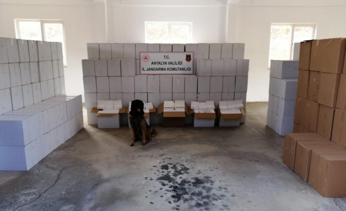 Gazipaşa'da durdurulan kamyonun kasasından 500 bin liralık makaron çıktı