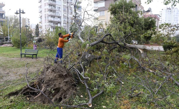 Hortumun bıraktığı izler temizleniyor