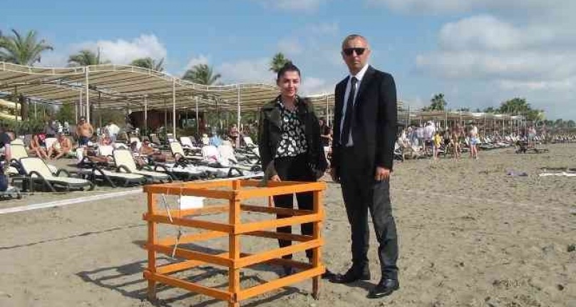 Kasım ayında denizle buluşan caretta caretta yavruları ilk kez görüntülendi