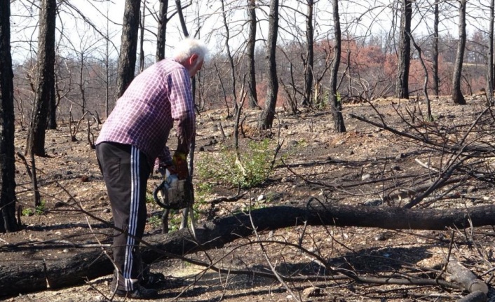 Manavgat'ta yanan ormanlık alanlar fidan dikimine hazırlanıyor