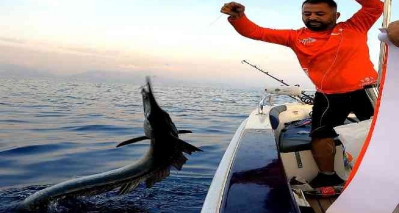 Nadir görülen merlin balığını Alanya'da denize geri bıraktılar