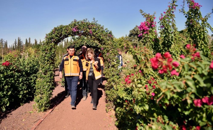 Şehrin merkezine botanik bahçe