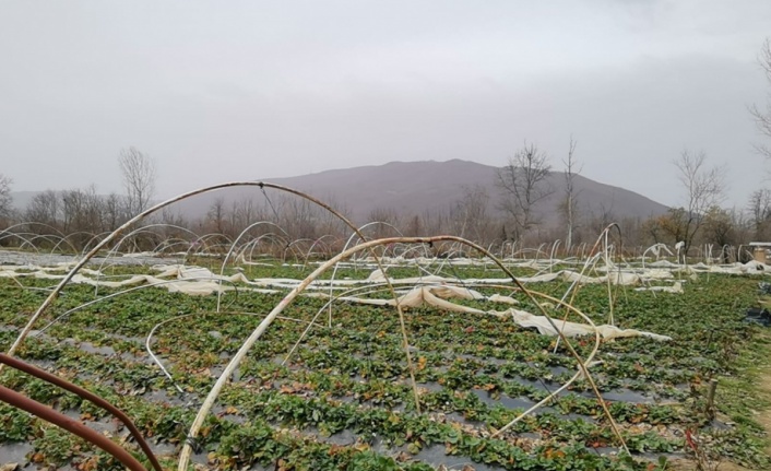 Seralar lodosla parçalandı