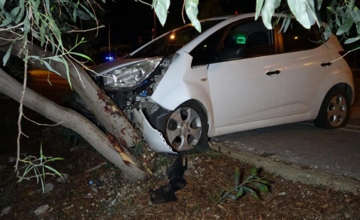 Virajı alamayan otomobil ağaca çarptı: 2 yaralı