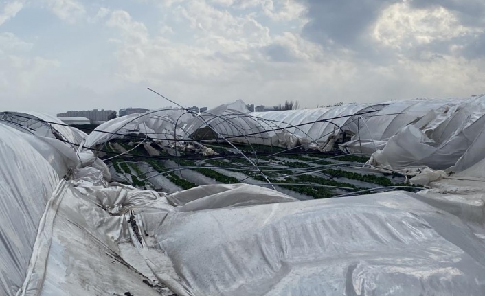 2 gün sonra hasat yapılacak seralar, fırtınada yerle bir oldu