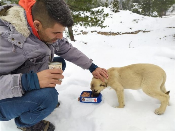 Alanya Belediyesi’nden can dostlarına kar altında yardım 