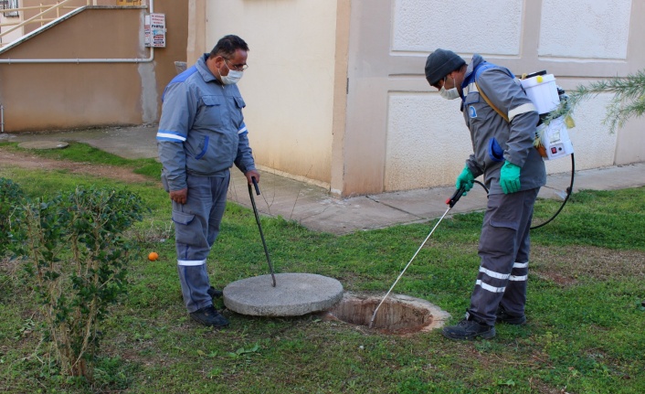 Alanya'da vektörel mücadele  tam gaz sürüyor