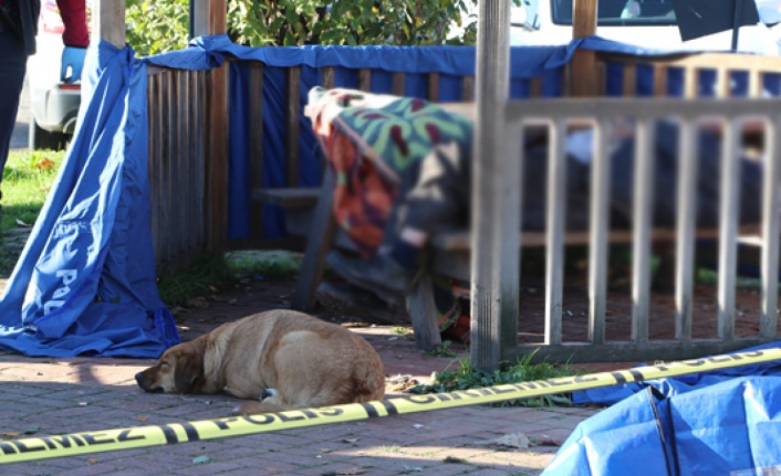 Beslediği köpek ölü bulunan evsiz adamın başından bir an bile ayrılmadı