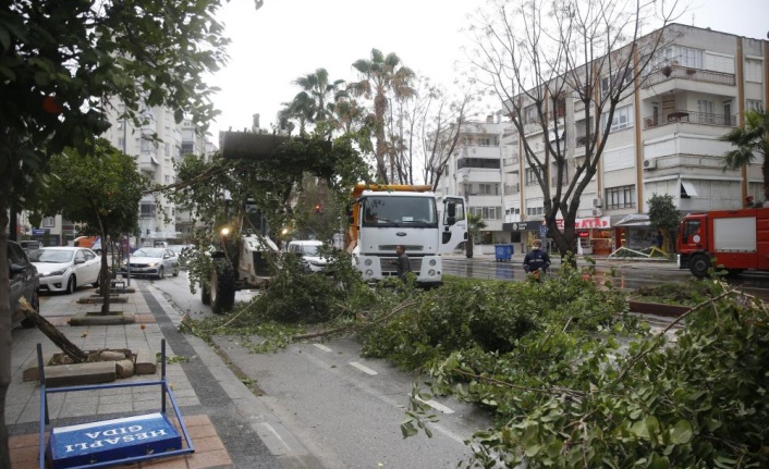 Büyükşehir, fırtına sebebiyle kent genelinde teyakkuza geçti