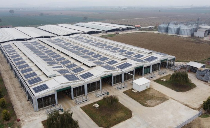 CW Enerji, tarım çiftliğine güneş enerji santrali kurdu