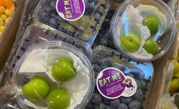 Erik 40 TL'den satışa çıktı