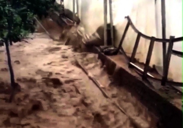 Alanya'da sağanak yağışın ardından seraları su bastı