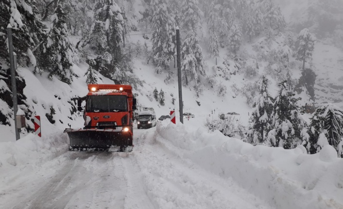 Alanya'da yetkililer yalvardı! Bu yola gelmeyin
