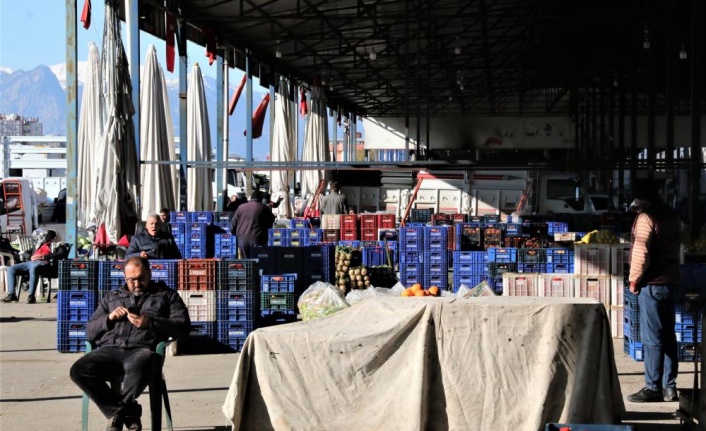 Dondurucu soğuklar sebebiyle Antalya haline gelen ürün yüzde 50 azaldı