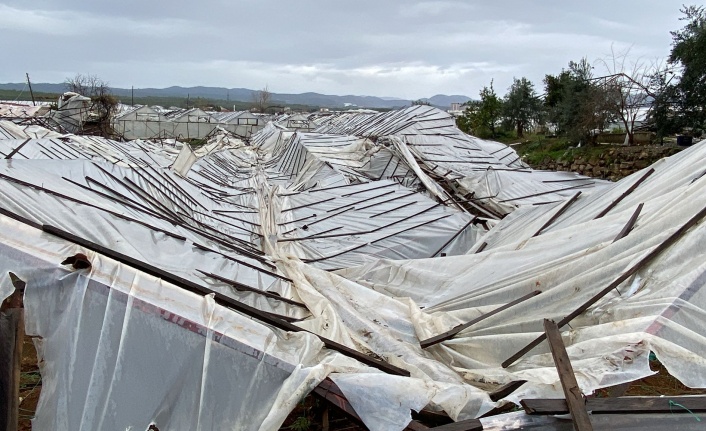Dün gece etkili olan fırtına Alanyalı üreticiyi vurdu