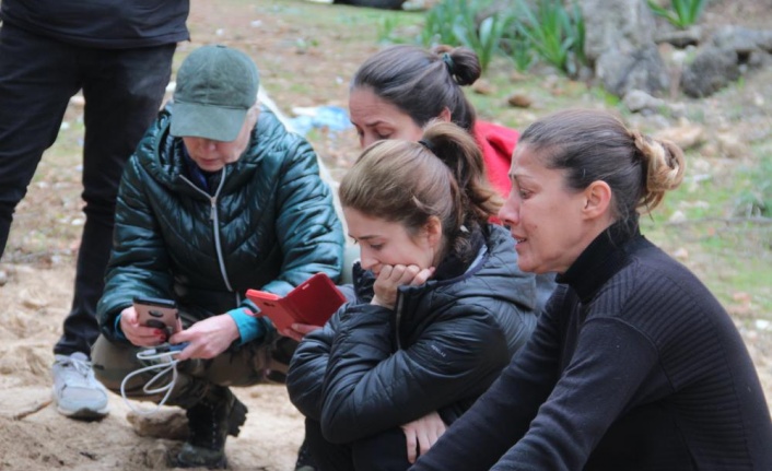 Hayvanseverler iş makinesiyle gömülen kedi ve köpeklere tepki gösterdi, işlemin yasal olduğu ortaya çıktı