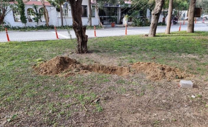 Mezar kazılıyor ihbarı ile olay yerine giden ekipler, korkunç cinayet ile karşılaştı