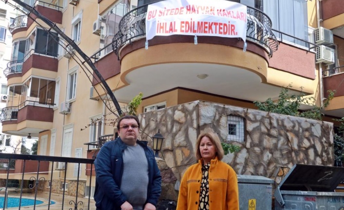 Alanya'da sokak kedilerinin mamaları toplatılınca çılgına dönen Hollandalı'dan pankartlı tepki