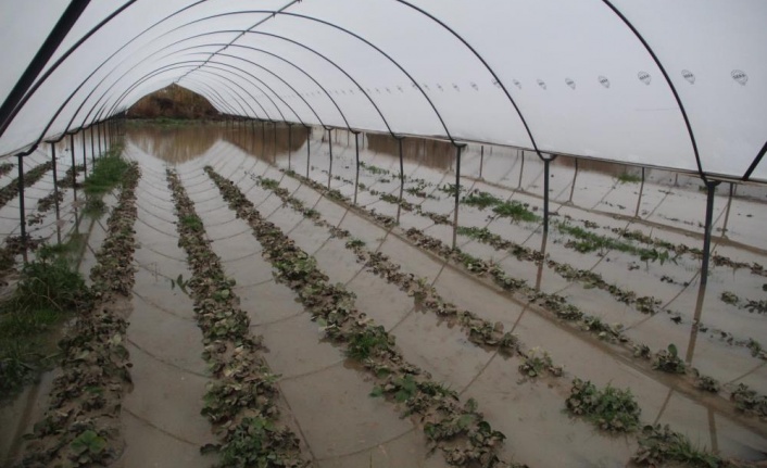 Çiçek seralarını sel ve hortum vurdu, sera demirleri büküldü