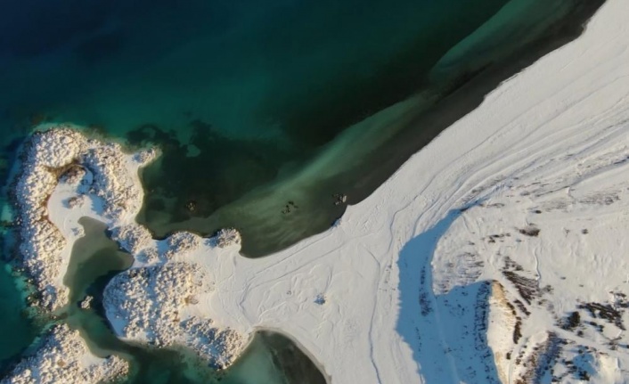 Göller bölgesinde Ocak ayında 298 bin 445 adet su kuşu tespit edildi