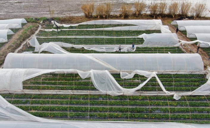 Hortumun vurduğu seralarda çitçinin hasar tamiri mesaisi başladı