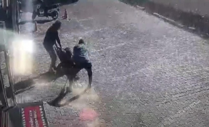 Yasaklı cins sokak köpeği, genç kadın ve köpeğine dehşeti yaşattı