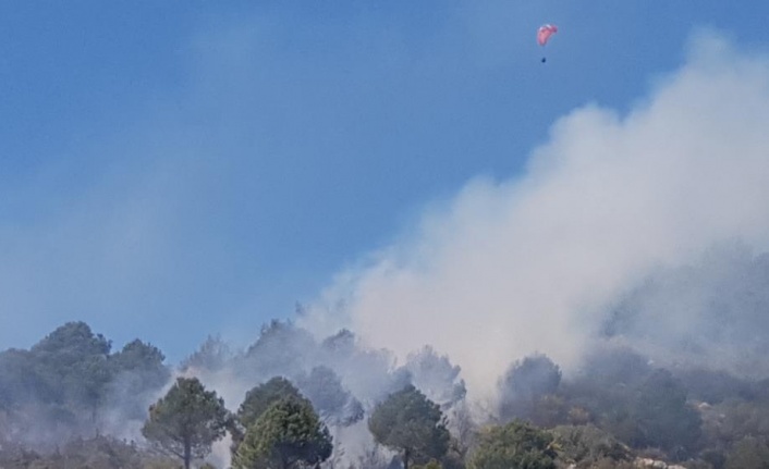 Alanya'da yangın bölgesi üzerinde yamaç paraşütü