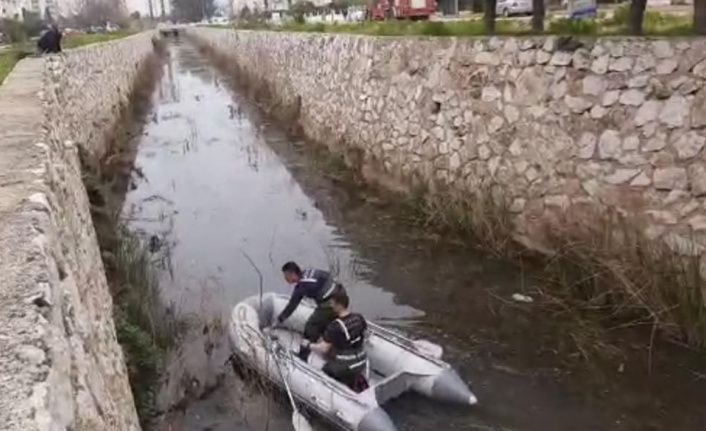 Kanala düşen köpek, ekipleri peşine taktı