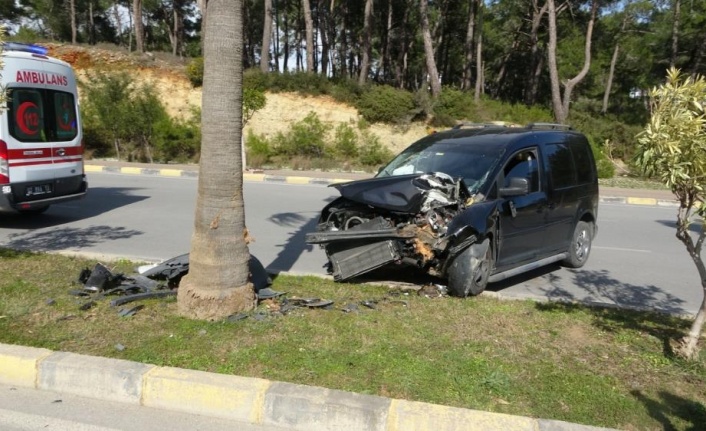 Kontrolden çıkan ticari araç palmiyeye çarptı: 2 yaralı