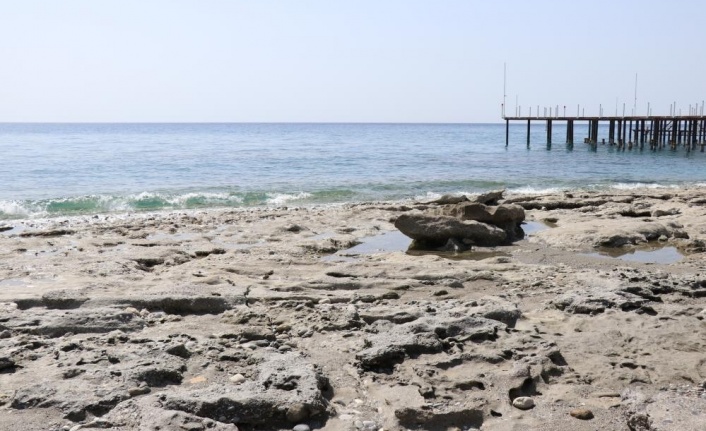 Ünlü profesörden deniz çekilmeleriyle ilgili rahatlatan açıklama