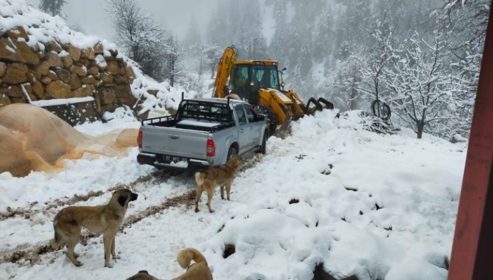 Antalya Valiliği’nden Alanya yaylalarına uyarı