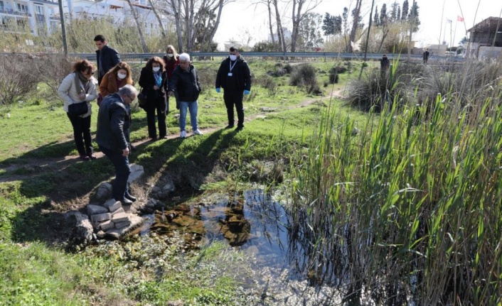 Antalya’da müsilaj tehlikesine karşı saha çalışması