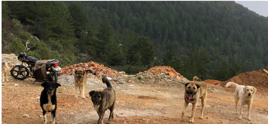 Bademağacı'nda vatandaşlar isyan etti!