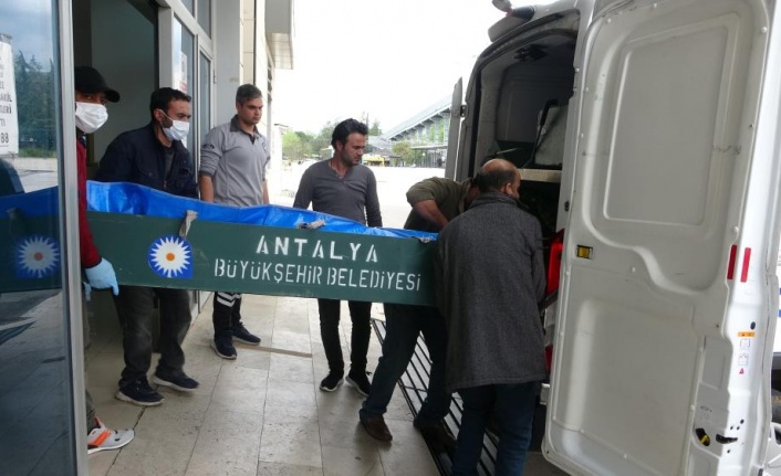 Irmakta cesedi bulunan üniversite öğrencisinin cenazesi ailesine teslim edildi