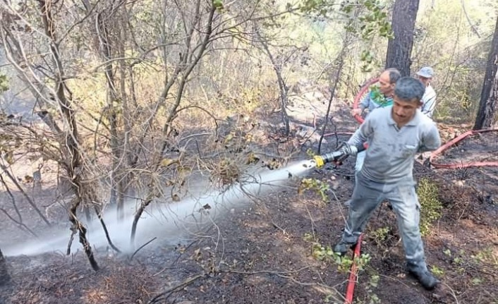 Orman yangını büyümeden söndürüldü