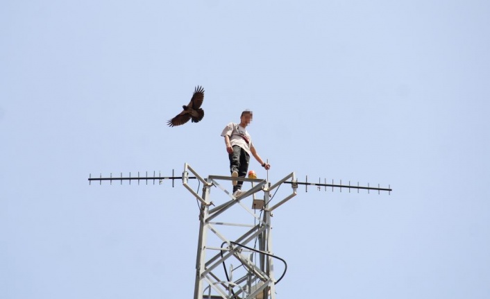 50 metre yüksekteki intihar teşebbüsü yavalarını korumak isteyen kargaları da harekete geçirdi