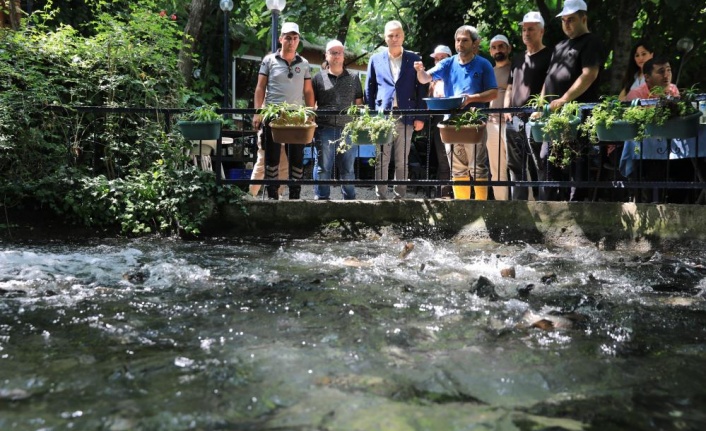 Alabalık yetiştiriciliğini A’dan Z’ye öğrendiler