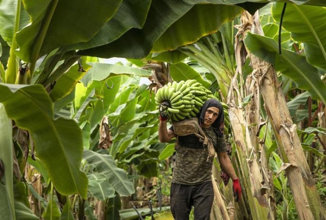 Alanya Belediyesi 16. Ulusal Fotoğraf Yarışması sonuçları açıklandı