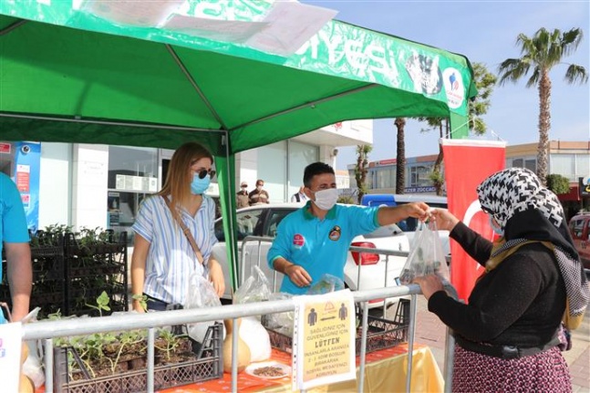 Alanya Belediyesi su kabağı fidesi dağıtmaya devam ediyor