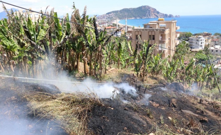 Alanya'da boş arazide çıkan yangın muz bahçesine sıçramadan söndürüldü