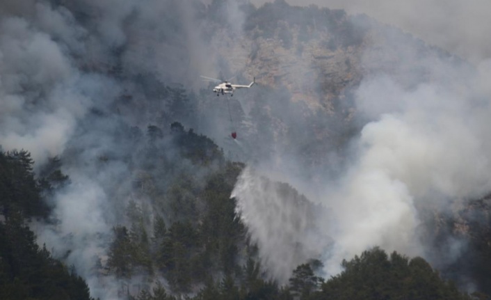 Alanya'da ikinci orman yangını